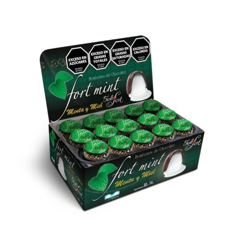 0640_-_fort_mint_display.jpg